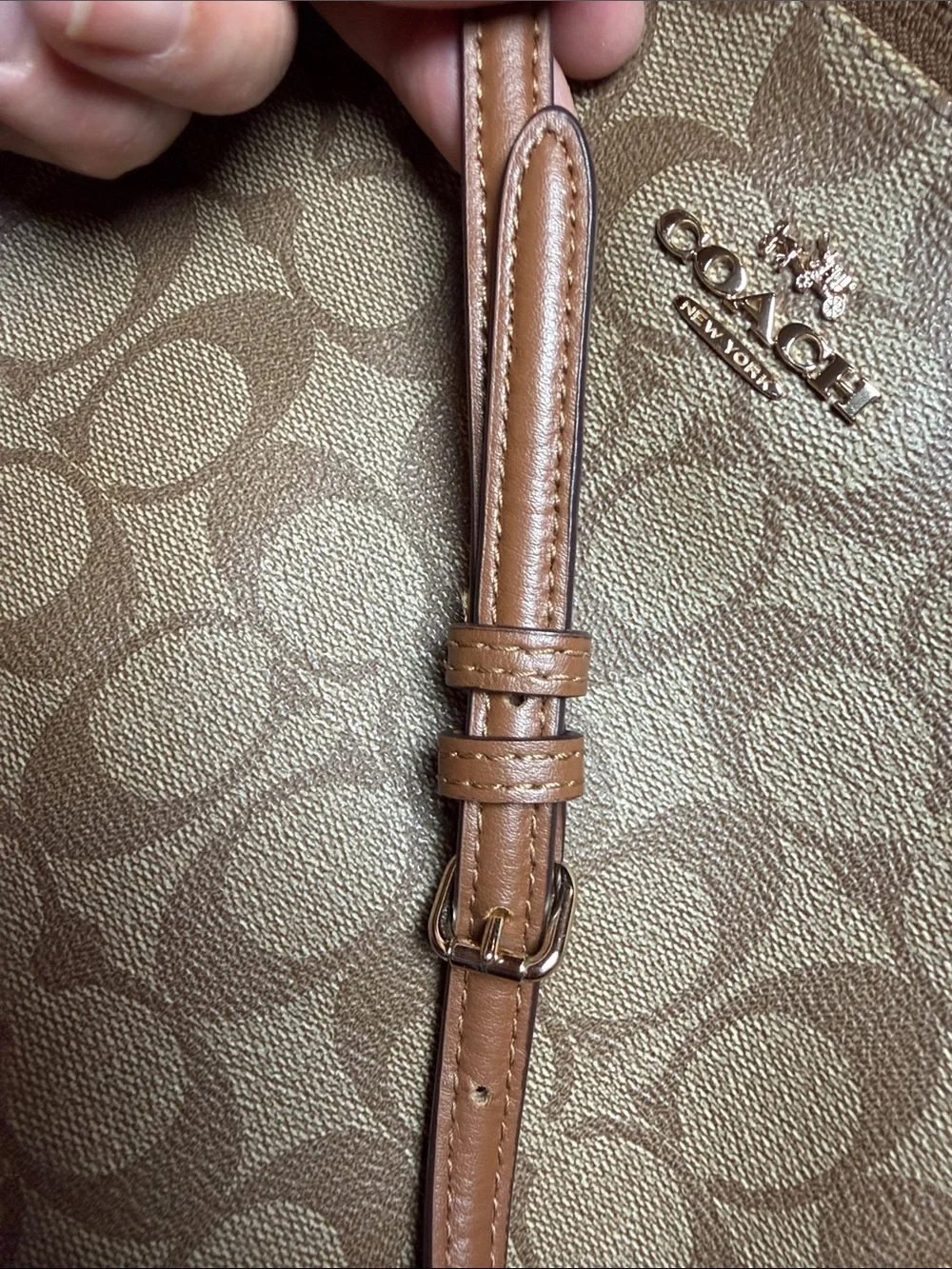 Coach North South Tan Signature Canvas Crossbody Bag F58309